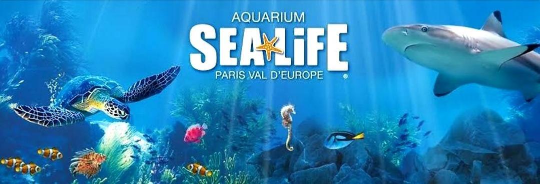 Appartement Spacieux Disneyland - La Vallee Village - 6 Personnes - 60M2 Saint-Germain-sur-Morin Zewnętrze zdjęcie