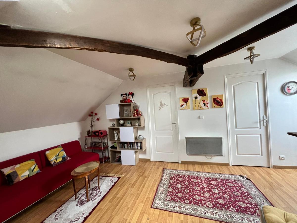 Appartement Spacieux Disneyland - La Vallee Village - 6 Personnes - 60M2 Saint-Germain-sur-Morin Zewnętrze zdjęcie