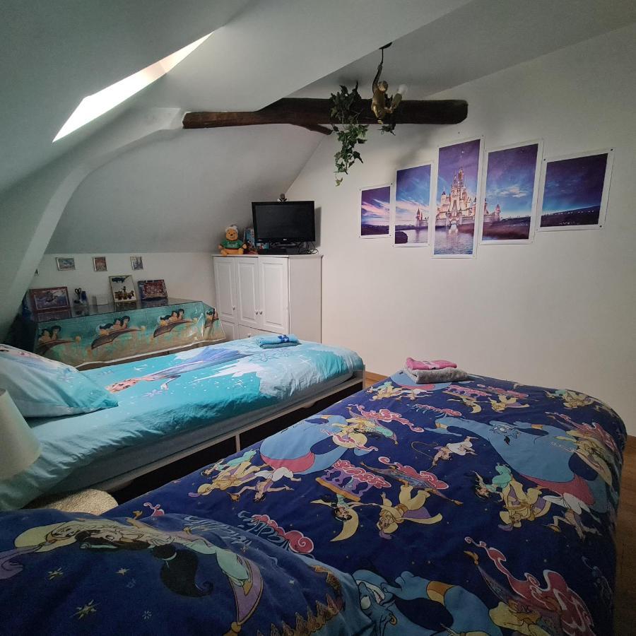 Appartement Spacieux Disneyland - La Vallee Village - 6 Personnes - 60M2 Saint-Germain-sur-Morin Zewnętrze zdjęcie